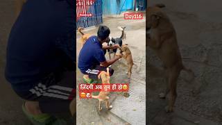 ज़िंदगी अब तुम ही हो🥹😍🐶feeding [upl. by Oluap]