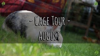 Mein Kaninchengehege  Cage Tour August [upl. by Ellerad872]