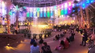 Nashville Gaylord Opryland Resort  4K 360 VR [upl. by Leakcim]