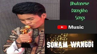 The Best Of Sonam Wangdi  Bhutanese Dzongkha Songs  Musical Bhutan [upl. by Ahsimek]