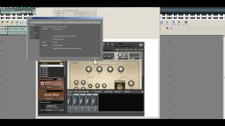 Kontakt 5BIAB Window resize [upl. by Nivlac]