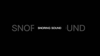 SNORING SOUND EFFECT 7 [upl. by Taveda]