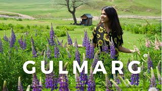 Gulmarg Travel Guide Exploring Paradise in Summer  Top Places to Visit in Kashmir [upl. by Atteroc]