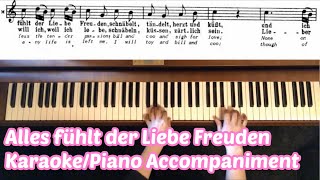 Zauberflöte Monostatos „Alles fühlt der Liebe Freudenquot Karaoke piano accompaniment Englishampmusic [upl. by Serle]