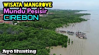 Wisata Hutan Mangrove Mundu Pesisir CIREBON AYO HUNTING [upl. by Ahsimrac223]