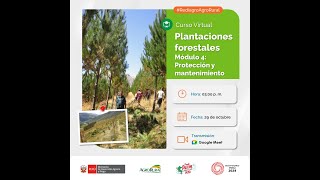 Curso Plantaciones forestales Módulo 4 Protección y mantenimiento – 29102024 [upl. by Minton291]