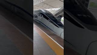 High Speed Bullet train  Hangzhou [upl. by Haeluj]