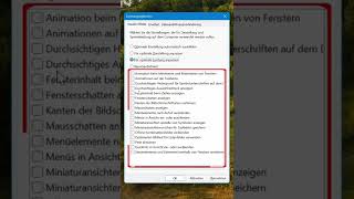 Windows in unter 10 Sekunden schneller machen Kein Problem [upl. by Kendy511]