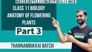 Anatomy of Flowering Plants class 11 part 2  NEET Boosters  NCERT Line to Line [upl. by Caressa]