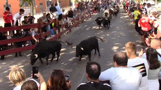 Primer Encierro de las Ferias de Alcalá de Henares 2023 [upl. by Rothberg955]