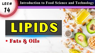 Lipids amp Fatty Acids Types Uses Sources amp Nutritional Value of Fats [upl. by Yziar846]