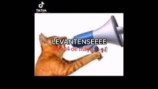 LEVANTENSE editlevántesemayomesfuertesonidouwuñamñamxdshortfanartgatoalarma [upl. by Yur880]