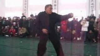 Grandmaster Shen jiarui  Bajiquan Black Tiger form [upl. by Waxman]