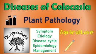 Lawn Disease That Spreads When You Mow  Ascochyta with Dr Brad [upl. by Paige]