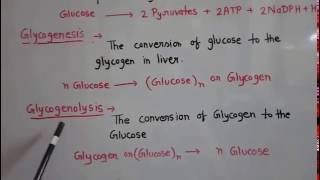 Metabolism of carbohydrate part 1 [upl. by Drareg737]