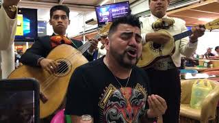 El Mimoso Cantando Con Mariachi Sufriendo A Solas [upl. by Tooley]