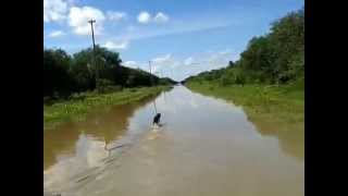 camino de toro pampa Alto Paraguay [upl. by Inhoj]