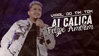 quotVai Rebola Ai Calicaquot Felipe Amorim  AI CALICA VIRAL DO TIK TOK [upl. by Brosine810]