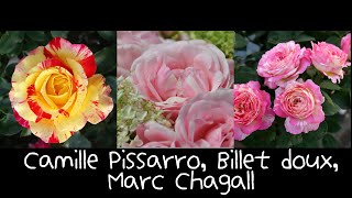 빵주네장미  Camille Pissarro Billet doux Marc Chagall [upl. by Thompson]