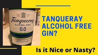 Tanqueray Alcohol Free Gin Nice or Nasty [upl. by Bremen]