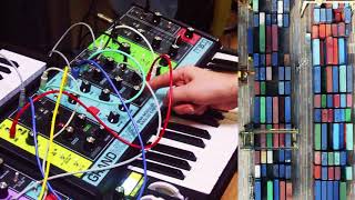 WISE 15067027  Moog Grandmother Solo [upl. by Seyah]