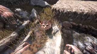 Ark Survival Scorched Earth Jerboa Warning [upl. by Quincey]