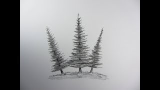 How To Draw Pine Tree  Very Simple [upl. by Nellek]