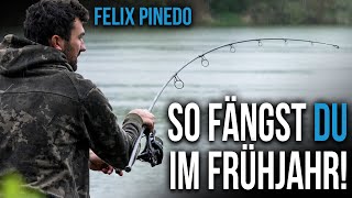 Karpfenangeln im Frühjahr  Felix Pinedo machts vor [upl. by Lleirbag]