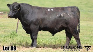 Lot 89 Lawsons Quinella VLY23U4052 [upl. by Kneeland782]