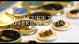 A Guide to Different Types of Premium Caviars  Drogos Kitchen  Fine Food Specialist [upl. by Annovahs]