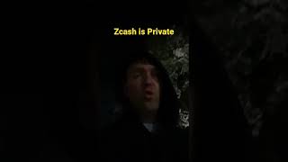 Zcash is Private Crypto [upl. by Coltun]