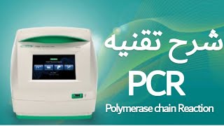 شرح بالعربي تقنيه PCR Polymerase chain Reaction بالعربي  كليه العلوم جامعه عين شمس  مصر [upl. by Martine905]