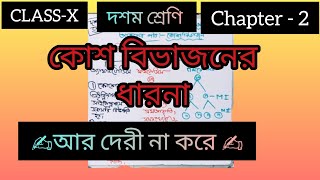 CLASS  10💥 Chapter2📚 concept about✍️cell division 🌻💐in bangla 💯 [upl. by Hill176]