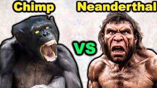 CHIMPANZEE vs NEANDERTHALWho Would Win in a Fight [upl. by Eirrotal487]