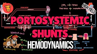 How PORTOSYSTEMIC SHUNTS are formed Hemodynamics Clinical symptoms Portal Hypertension [upl. by Ycul]