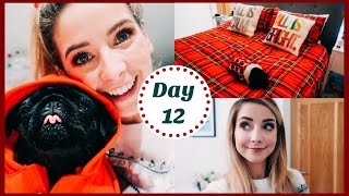 CHRISTMAS POOCH  VLOGMAS [upl. by Debbi]