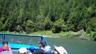 Rogue River Jet Boat Tours  Mail Boat [upl. by Sethi872]