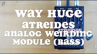 Way Huge Atreides Analog Weirding Module Bass Demo [upl. by Cord]