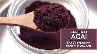 Benefits of Acai One of the Top Fruits from the Amazon [upl. by Ashbaugh]