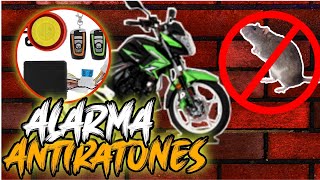 ALARMA PARA MOTOCICLETA  Demostracion  italika z 150  waxa moto vlog [upl. by Adore]