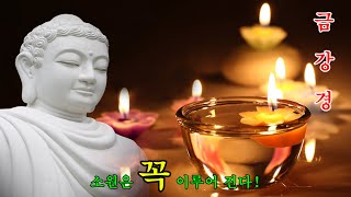 【소원성취기도】금전운 과 소원을 들어주는 불경금강경 마음 편안한 곳  GwangDeokTemple [upl. by Aoh]