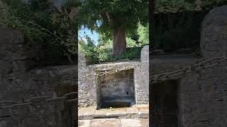 Yew tree well Tissington [upl. by Vivien]