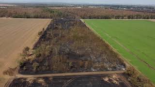 Waldbrand in Gänserndorf Süd Ende August 2024 [upl. by Lipkin]