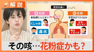 “秋の花粉症”に要注意、喘息気味の咳に目のかゆみ「スギ花粉で症状が出る人の3分の1はブタクサ花粉にも…」【Nスタ解説】｜TBS NEWS DIG [upl. by Blasius]