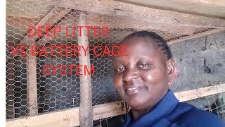 ADVANTAGES OF CHICKEN CAGES VS DEEP LITTER [upl. by Arta583]