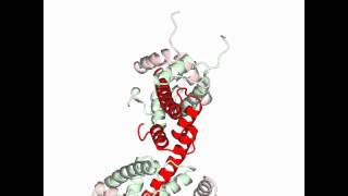 Nucleosome core particle [upl. by Bilac]