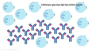 ✅Pencere Su İzolasyonu ve Silikon Uygulaması [upl. by Weywadt]