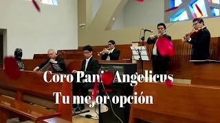 CORO PANIS ANGELICUS  CANON DE PACHELBEL [upl. by Jain328]