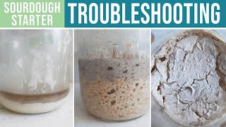 SOURDOUGH STARTER TROUBLESHOOTING  Whats Wrong amp How To Fix It [upl. by Erikson]