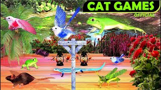 Cat Games  Ultimate Cat TV Compilation For Cats  Best Cat Games Video For Cats  🐱 [upl. by Oemac]